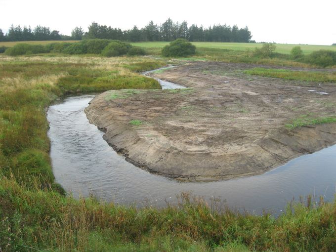 Gryde Å ført tilbage til gamle slyngninger ved Grydeå Dambrugs nedlæggelse i 2010 (Holstebro Kommune) - Storålaks massivt tilbage og kan nu klare sig uden støtteudsætninger - Storålaks helt op til Skjernvej opstrøms militærterrænet.
Projektledelse biolog Jakob Larsen